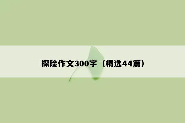 探险作文300字（精选44篇）