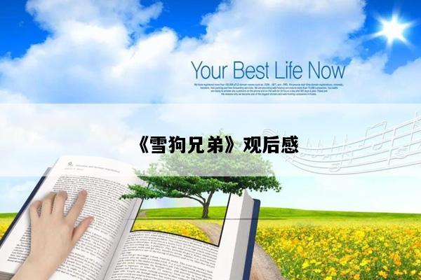《雪狗兄弟》观后感