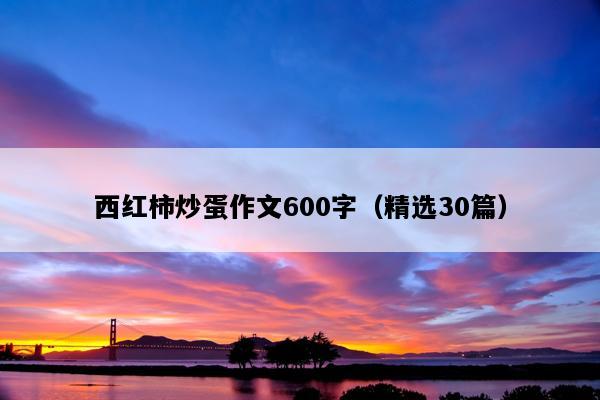 西红柿炒蛋作文600字（精选30篇）