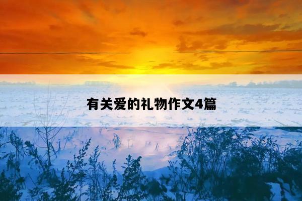 有关爱的礼物作文4篇