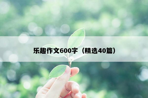 乐趣作文600字（精选40篇）