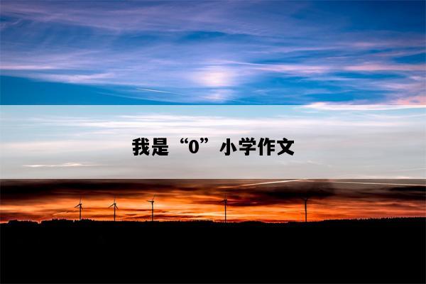 我是“0”小学作文