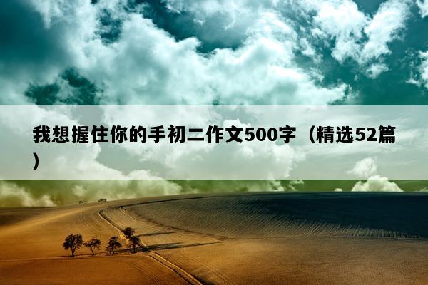 我想握住你的手初二作文500字（精选52篇）