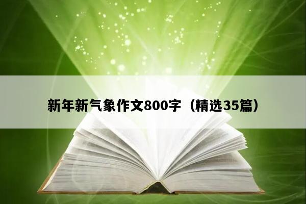 新年新气象作文800字（精选35篇）