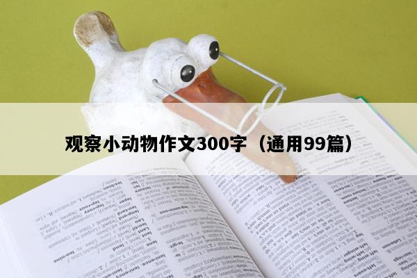 观察小动物作文300字（通用99篇）