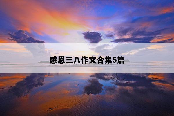 感恩三八作文合集5篇
