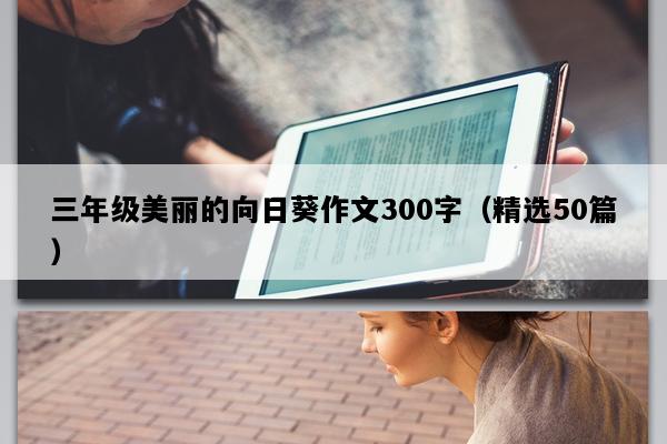 三年级美丽的向日葵作文300字（精选50篇）