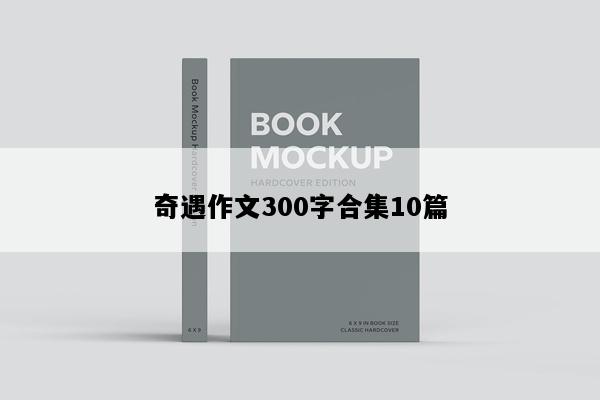 奇遇作文300字合集10篇