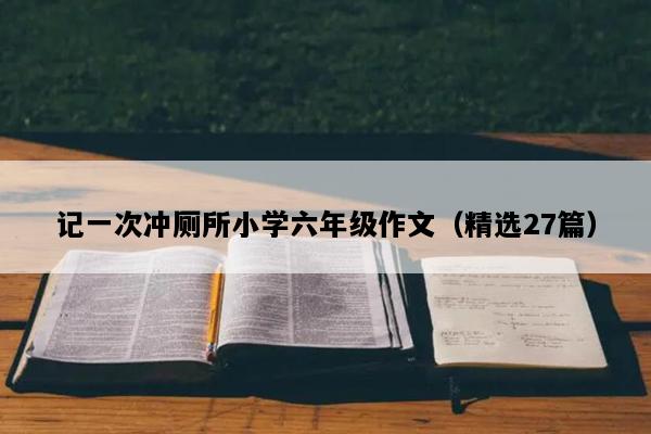 记一次冲厕所小学六年级作文（精选27篇）