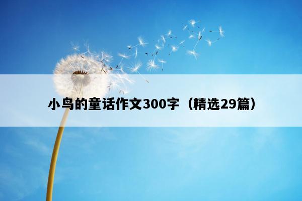 小鸟的童话作文300字（精选29篇）