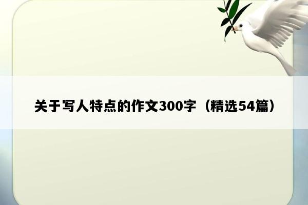 关于写人特点的作文300字（精选54篇）