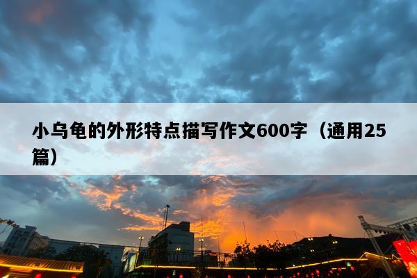 小乌龟的外形特点描写作文600字（通用25篇）