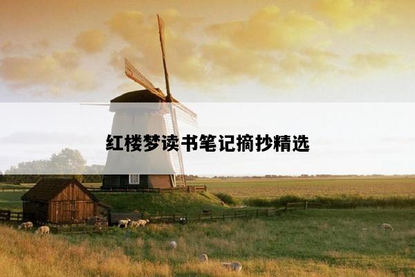 红楼梦读书笔记摘抄精选