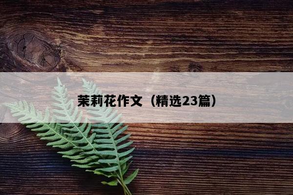 茉莉花作文（精选23篇）