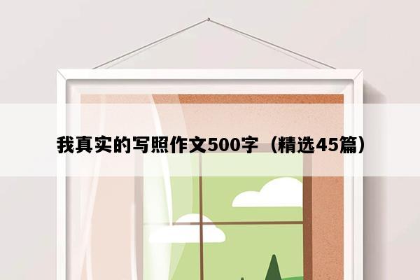 我真实的写照作文500字（精选45篇）