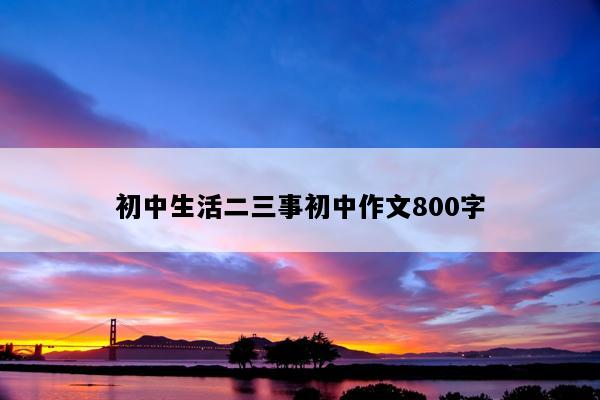 初中生活二三事初中作文800字