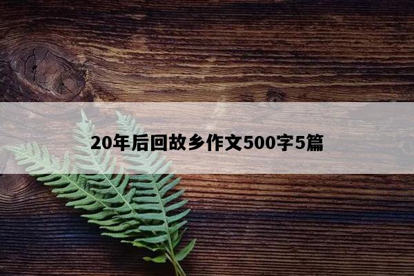 20年后回故乡作文500字5篇