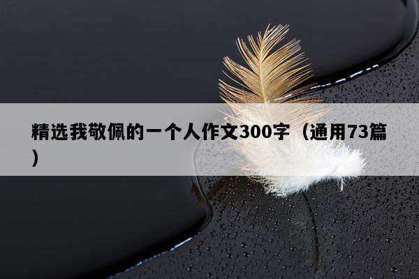 精选我敬佩的一个人作文300字（通用73篇）