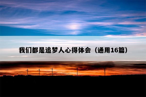 我们都是追梦人心得体会（通用16篇）