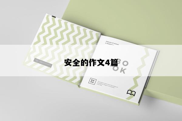 安全的作文4篇