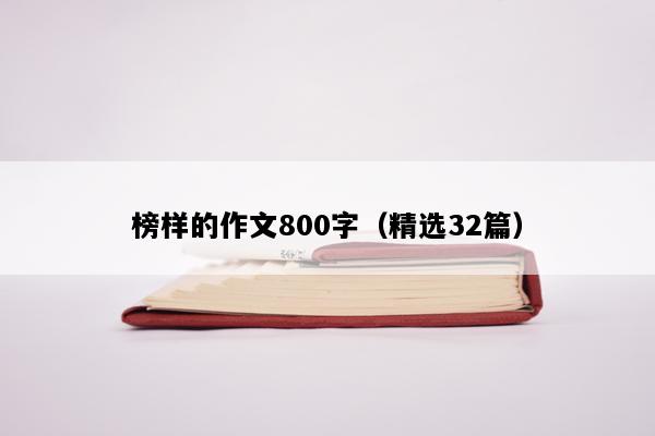 榜样的作文800字（精选32篇）
