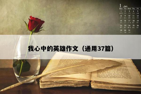 我心中的英雄作文（通用37篇）