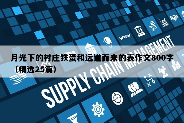 月光下的村庄铁蛋和远道而来的表作文800字（精选25篇）