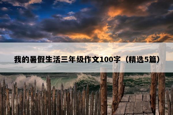 我的暑假生活三年级作文100字（精选5篇）