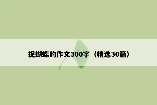 捉蝴蝶的作文300字（精选30篇）