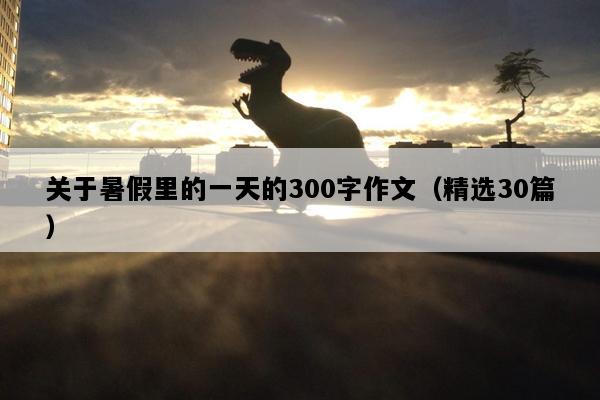关于暑假里的一天的300字作文（精选30篇）