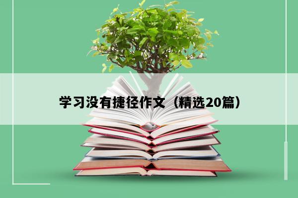 学习没有捷径作文（精选20篇）
