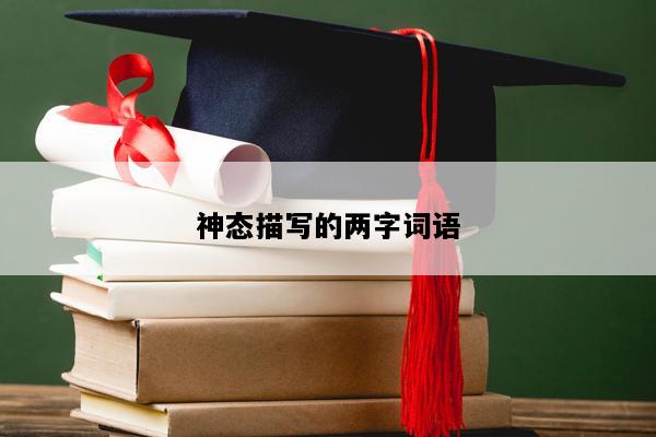 神态描写的两字词语