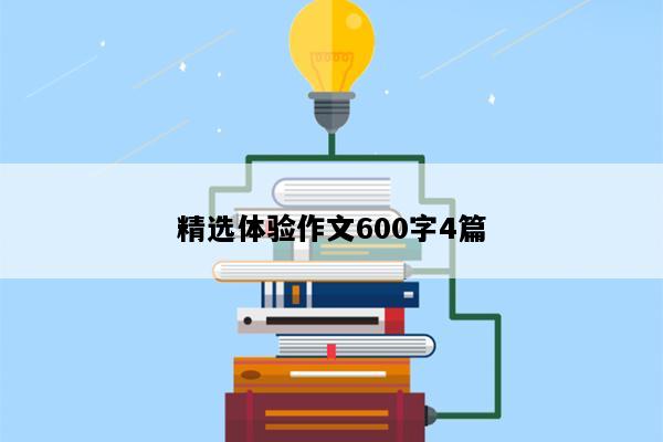 精选体验作文600字4篇