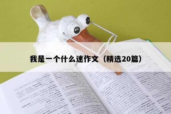 我是一个什么迷作文（精选20篇）