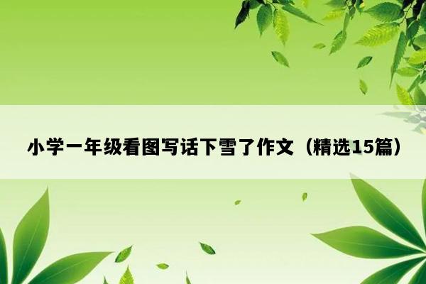 小学一年级看图写话下雪了作文（精选15篇）