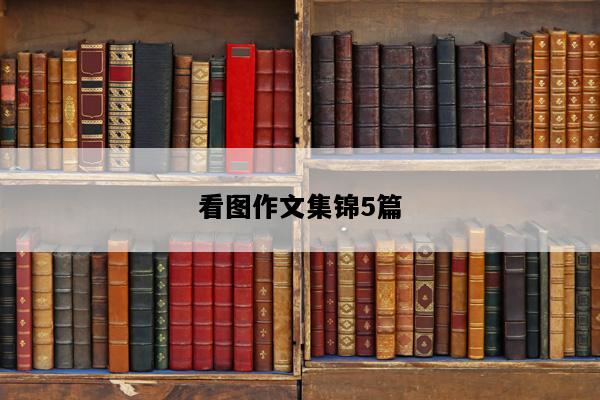 看图作文集锦5篇