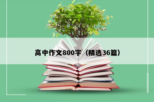 高中作文800字（精选36篇）