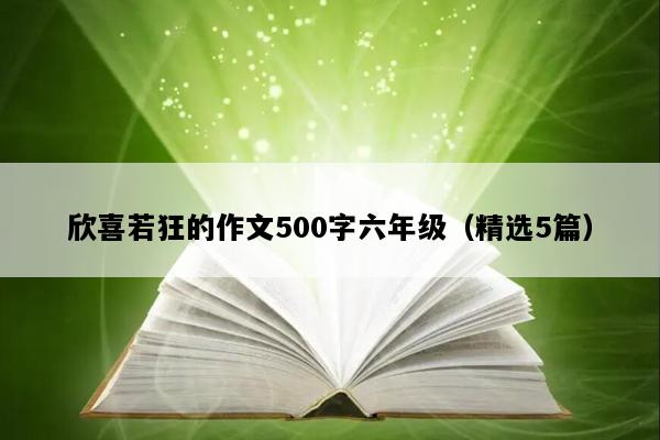 欣喜若狂的作文500字六年级（精选5篇）