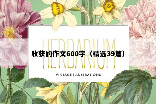 收获的作文600字（精选39篇）