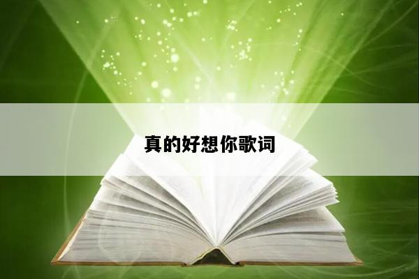 真的好想你歌词