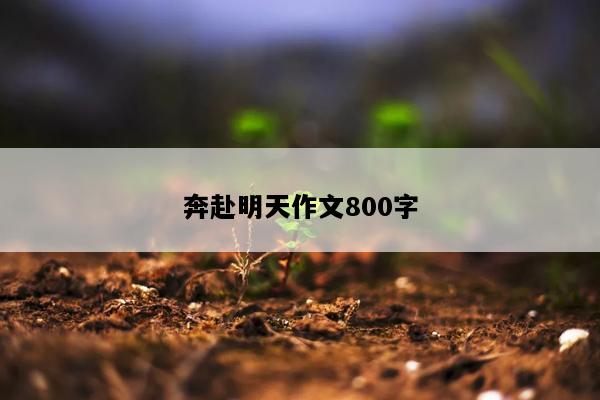 奔赴明天作文800字
