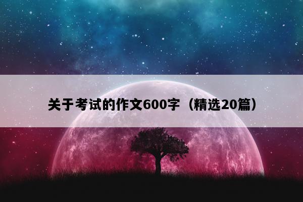 关于考试的作文600字（精选20篇）