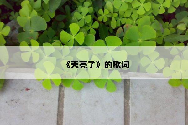 《天亮了》的歌词