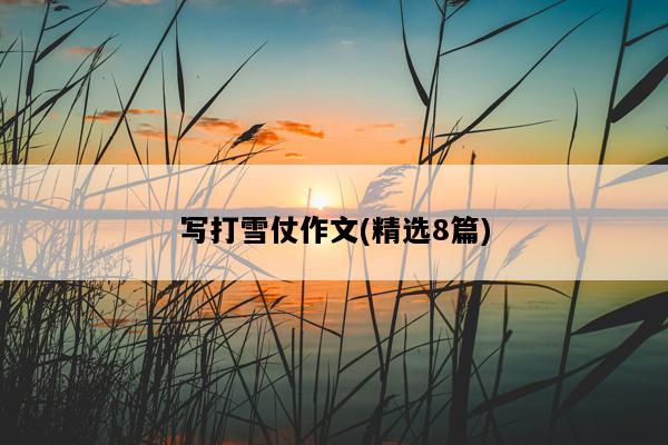 写打雪仗作文(精选8篇)