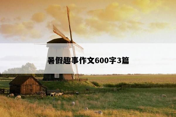 暑假趣事作文600字3篇