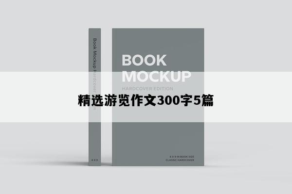 精选游览作文300字5篇
