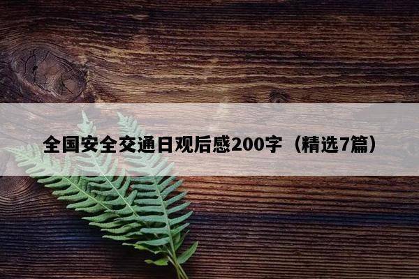 全国安全交通日观后感200字（精选7篇）