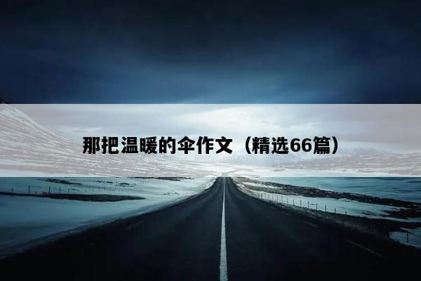 那把温暖的伞作文（精选66篇）