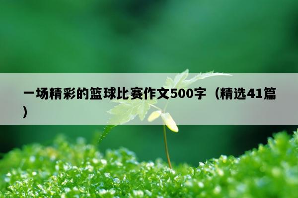 一场精彩的篮球比赛作文500字（精选41篇）