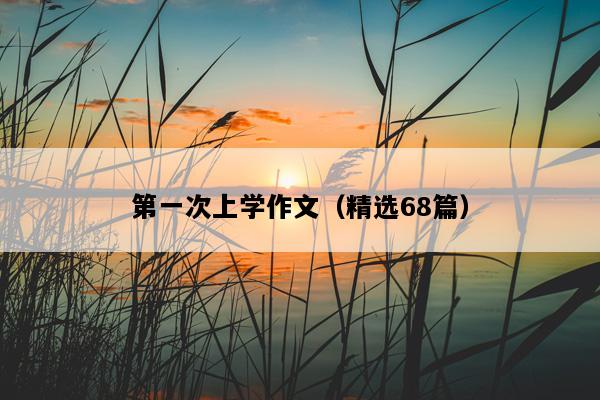 第一次上学作文（精选68篇）